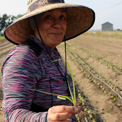 Angeles on Farm