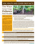 article on ten ways cover crops enhance soil health