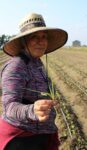 Latina farmer with weed root on farm
