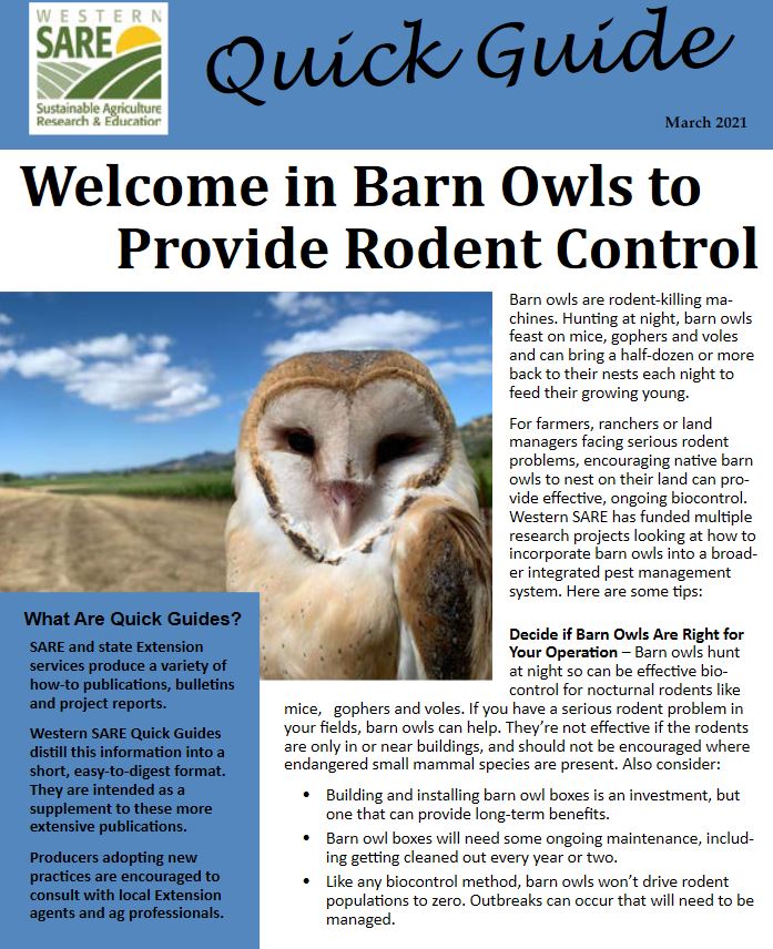 WSARE Quick Guide: Welcome in Barn Owls to Provide Rodent Control