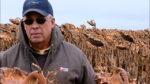 A man standing in front of a dying, brown sunflower field