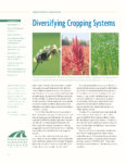 Diversifying Cropping Systems