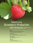 Everbearing Strawberry Guide cover