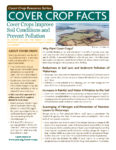 Cover Crop Facts Cover Image