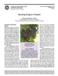 Article from the University of Hawaii at Manoa about growing grapes at Manoa with a picture of red grapes on a vine