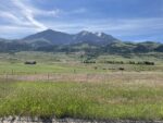 montana rangeland in front of mountain with snow