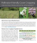 cover of bulletin about pollinator friendly cover crops