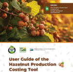 photo of hazelnuts