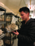 graduate student in mushroom lab