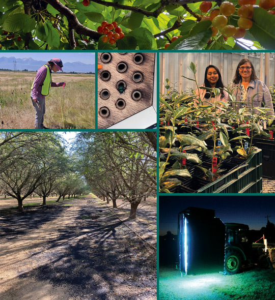 2025 Grad Student Project Montage