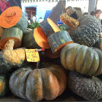 winter squash in a pile for sale at $1.00 each