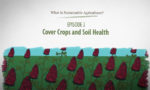 What is Sustainable Agriculture Animation Episode 2