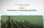 What is Sustainable Agriculture Animation Episode 8